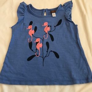 EUC 18-24 mo. Tea Collection Top